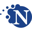 Logo Nemesys ICT Groep