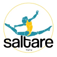 Logo T.S.T.V. Saltare