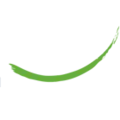 Logo Balance Assessment AND Organization Development