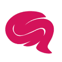 Logo MediaBrainz NL