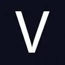 Logo Visionary.Style