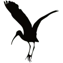 Logo van Kanoboerderij de Reusel