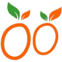 Logo FitFood Diëtistenpraktijk
