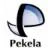 Logo Gemeente Pekela