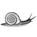 Logo The Slow Brand Movement
