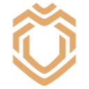 Logo Koningsleeuw - Video-first Marketing