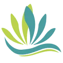 Logo CST Finance