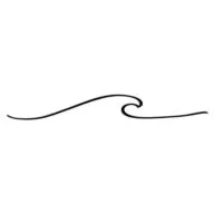 Logo Flow Provider COACHING