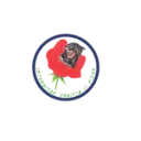 Logo van SV-Audit B.V.