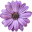 Logo AroBac