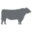 Logo Nice to Meat