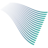 Logo Strider Carbon