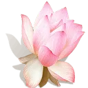 Logo Zenssage