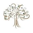 Logo Zein Academy