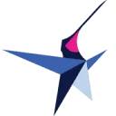 Logo Blue Star Planning B.V.