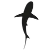 Logo SXM Divers