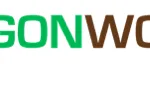 Logo Dragonwood Rail