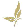 Logo Eqrian Coaching Counseling AND Training ‘Met Paard En Ziel”