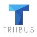 Logo TRIIBUS Consultancy BV