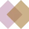 Logo Orsel Consultancy Project and Interim Management