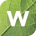 Logo Witteveen groenprojecten en advies
