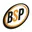 Logo BSP International