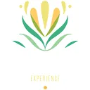 Logo Zamalia Experience