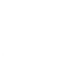 Logo Veracity Labs