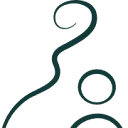 Logo Osteopathie Vlaardingen