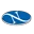 Logo Novum Pharma International