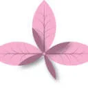 Logo Karin van der Molen Uitvaartverzorging