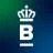 Logo Royal Van Beest Green Pin®