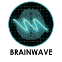Logo Vakdispuut Brainwave
