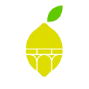Logo LemonBridge