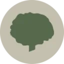 Logo van Olaf Nijenkamp Groothandel Tuinplanten BV