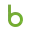 Logo briddle