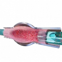 Logo River BioMedics