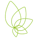 Logo Snoek Puur Groen