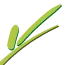 Logo CareX Overijssel