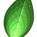 Logo IVM Caring Capital