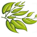 Logo Rijk Tuinen