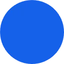 Logo Last Mile Solutions