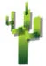 Logo Cactus Accounting Services N.V.