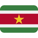 Logo Stichting Hoop voor Suriname