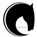 Logo Caballo Consultancy