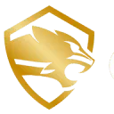 Logo Cheetah Security