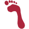 Logo De Boer Orthopedie