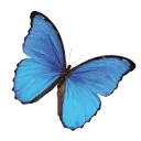 Logo Moos Kindercoach