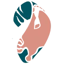 Logo Nederlandse Kitesurf Vereniging