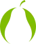 Logo PEER Professional Excellence